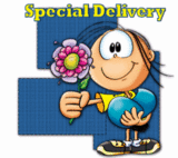 delivery status
